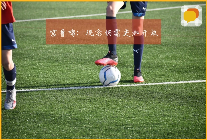 宫鲁鸣：观念仍需更加开放